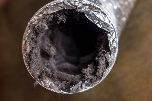 Best Affordable Duct Cleaning Services  in Kettle Falls, WA
